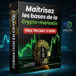 Maîtrisé les bases de crypto monaie et du trading