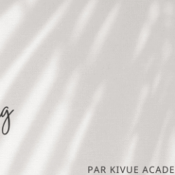 commencer le dropshiping facilement