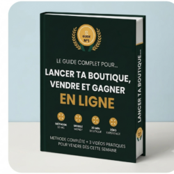 Gagne de l'Argent en Ligne depuis l'Afrique : Boost ta Boutique Digitale